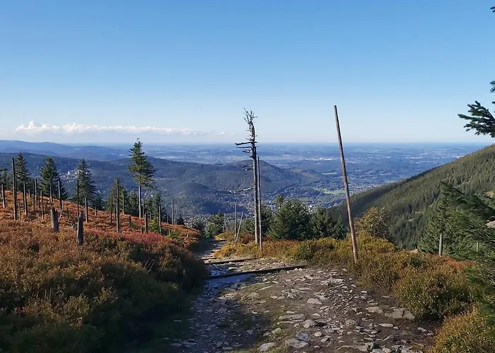 Arte Homestay Karpacz